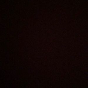 Meet your Posher, Bailey